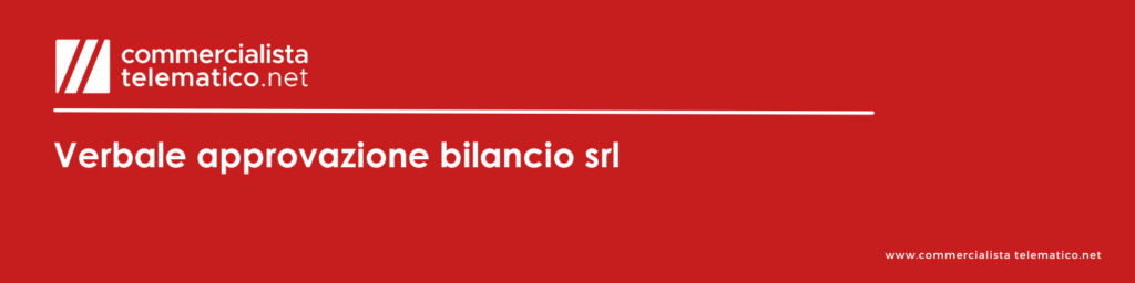 verbale approvazione bilancio srl